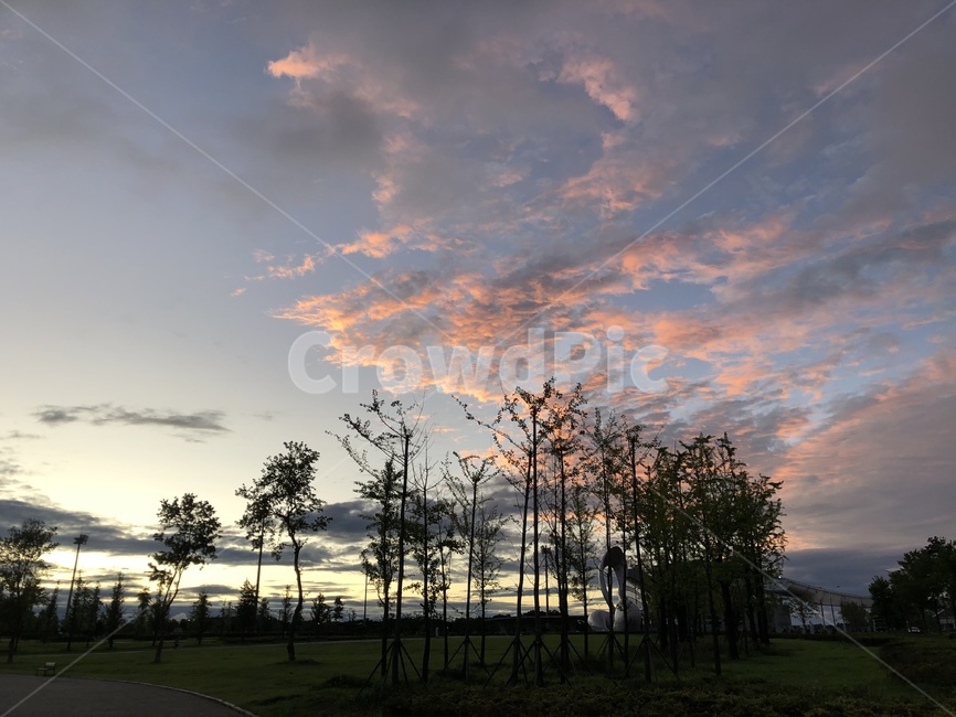 하늘,노을,석양,인천,감성,sky