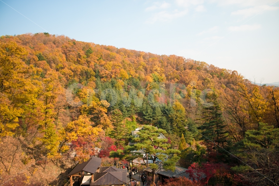 단풍산,가을단풍산,산,가을산,가을,가을하늘,가을,계절,fall,autumn,season,자연,풍경,nature,landscape,한국자연풍경,한국자연경관,korea nature landscape,tree,나무,plant,식물