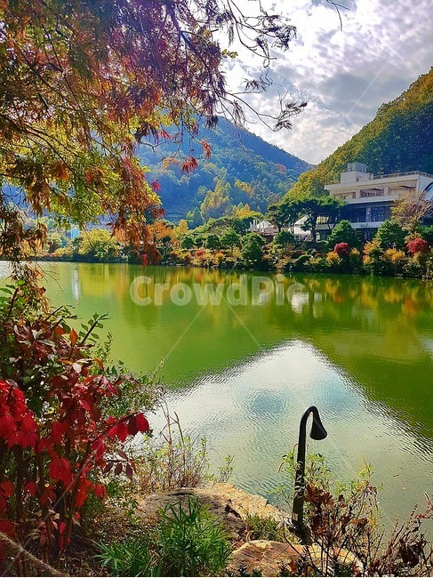 하늘물빛정원,호수,가을,단풍,자연,조경,옥외,물