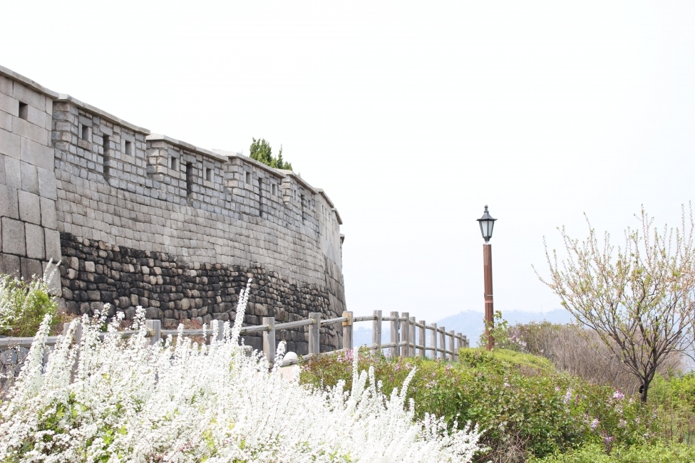 낙산공원,공원,혜화,산책,자연,대학로,꽃,성곽길,한국전통,한국문화,korean traditional,korean culture