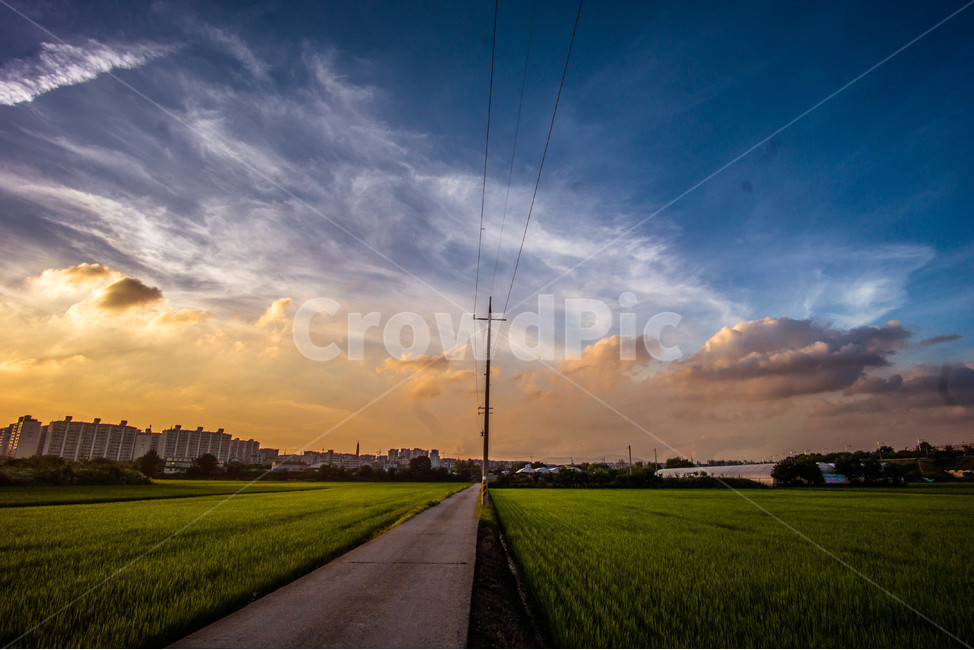 하늘,구름,풍경,배경화면,가을길,논길,가을풍경,korearoad,자연,풍경,nature,landscape