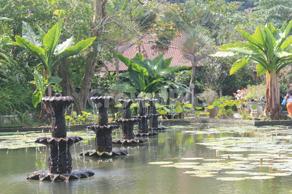 인도네시아,발리,공원,티르타강가,자연,indonesia,bali,park,garden,tirta,gangga,nature,정원,pond,연못,fountain,분수