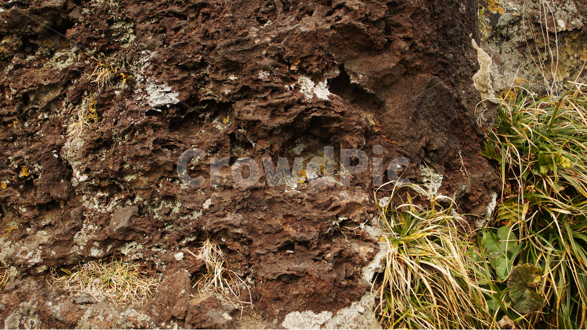 원시,돌,제주도,여행,고대,세월,자연,풍경,nature,landscape,ground,바닥,soil,흙