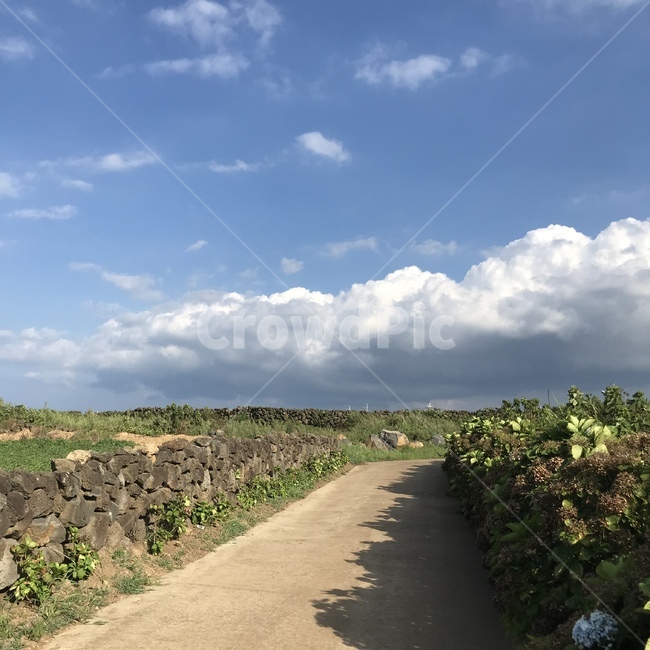 자연,nature,돌담,하늘,맑음,경치