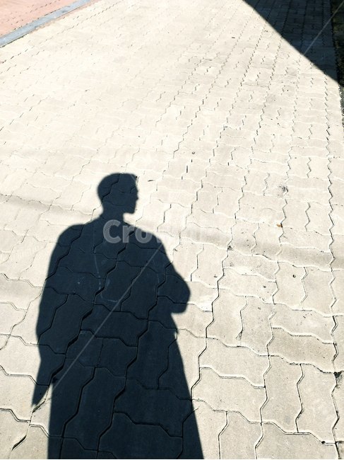 walkway,인물,그림자,path,flagstone
