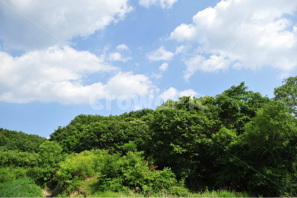 자연,산,하늘,풍경,그린,mountain,green,sky,blue,nature,자연,풍경,nature,landscape,outdoors,옥외,weather,날씨