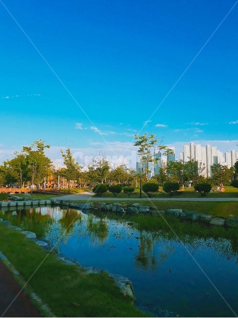 outdoors,옥외,field,들,water,물,park,apublicpark,공원,walk,stroll,산책,river,강,azuresky,푸른하늘,tree,나무,green,초록색,nature,자연,weather,날씨,sky,하늘,summer,여름,도시,풍경,city,landscape
