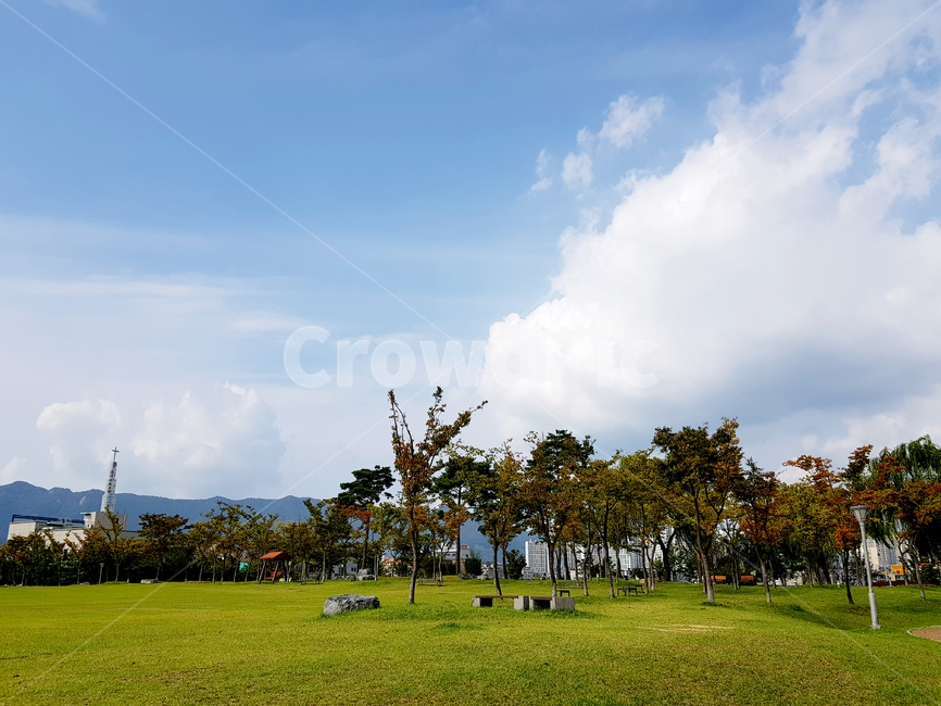 nature,자연,azuresky,푸른하늘,sky,outdoors,하늘,옥외,가을하늘,tree,나무,plant,식물,자연,풍경,nature,landscape,grass,잔디,lawn