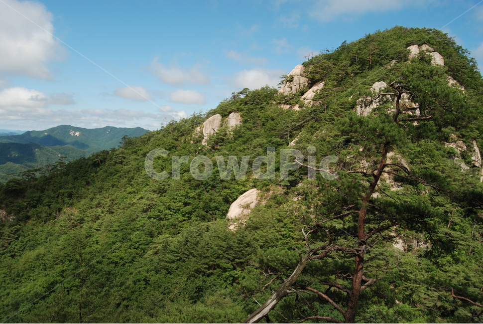 괴산군,국립공원,속리산,자연,여름,자연,풍경,nature,landscape,slope,경사,outdoors,옥외,hill,언덕