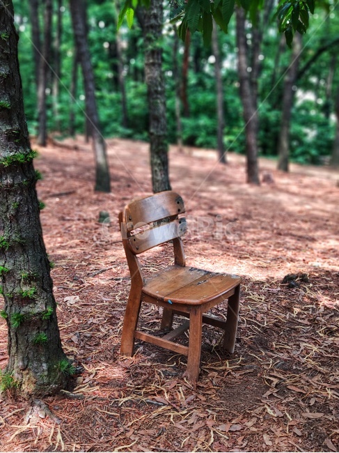등산,의자,정물,portrait,외로움,서울,산,덩그러니,빈티지사진,빈티지느낌,빈티지감성,vintage,사물,물건,오브젝트,thing,object,matter