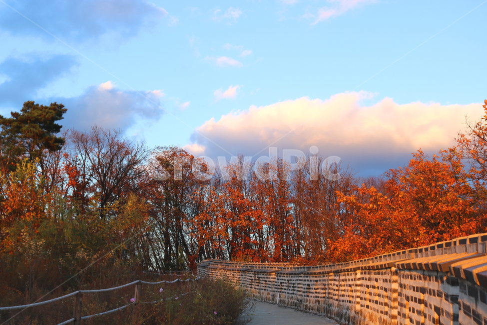 남한산성,산성,성벽,자연,풍경,산,가을,단풍,나무,공원,가을,계절,fall,autumn,season,한국전통,한국문화,korean traditional,korean culture,건축물,건물외관,exterior,building,structure,architecture,construction,tree,plant,식물