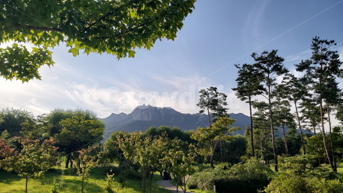 서울창포원,도봉산,산,나무,하늘,구름,자연,changpowon,dobongsan,mountain,trees,sky,clouds,nature,자연,풍경,nature,landscape,나무,trees,wood,outdoors,옥외,grassland,목초지,field,들