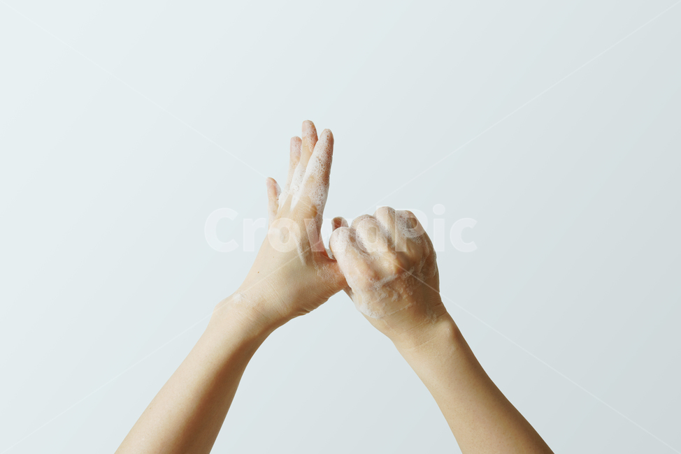 손소독,손씻기,공중보건,위생,비누거품,거품,비누,청결,누끼,보건,의료,헬스케어,건강,감염,핸드워시,손청결,인간,person,human,손,hand,사람,사람,인물,인간,human,person,신체일부,몸,body,건강,헬스웨어,헬스케어,healthware,health care