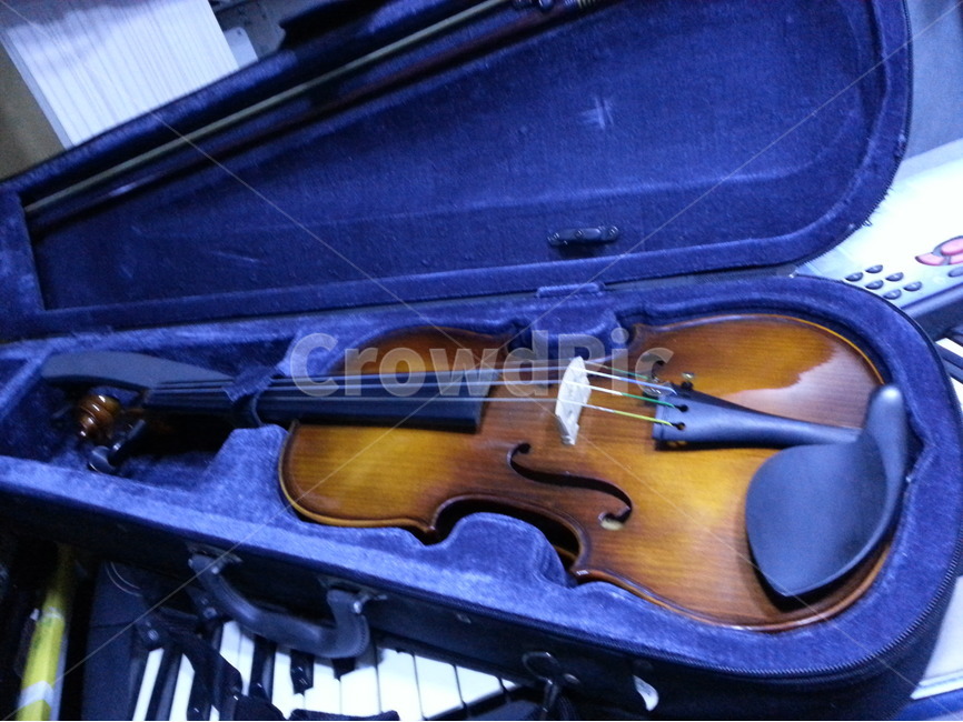 바이올린,케이스,악기,청색,연주,악기,음향기기,musical instrument,musical equipment