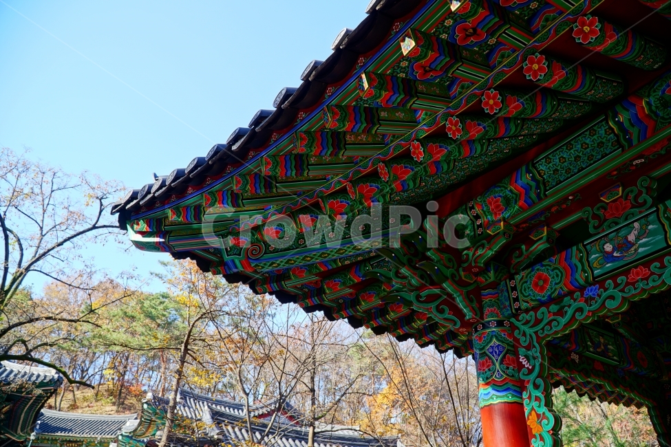 한국,한국전통,한국문화,전통,문화,한옥,불교,사찰,절,종교,korea,seoul,tradition,custom,culture,Buddhism,기와,지붕,처마,건물,건축,나무,가을,tree,autumn,fall,season,계절,나뭇가지,자연,nature,문화재,landscape,하늘,역사,히스토리,history,11월,용마루,추녀마루,내림마루,잡상,와제,10신상,한국풍경,한국적인,단청,한국전통,한국문화,korean traditional,korean culture,건축물,건물외관,exterior,building,structure,architecture,construction