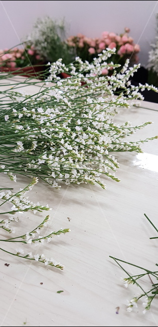 꽃,flower,꽃다발,식물,plant,꽃수업