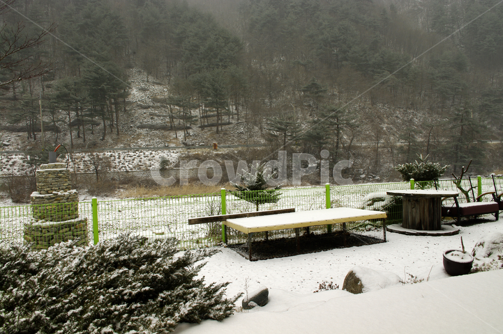 겨울,나무,풍경,산,눈,겨울,계절,winter,season