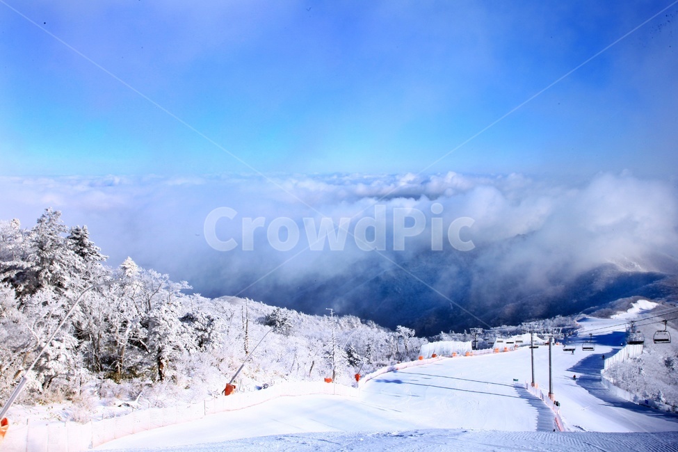 tree,나무,plant,식물,nature,자연,outdoors,옥외,ice,빙,snow,눈,mountain,산,mountainrange,산맥,상고대,무주,덕유산,덕유산설경,설경,설천봉,향적봉,중봉,덕유산국립공원,운해,person,사람,human,인간