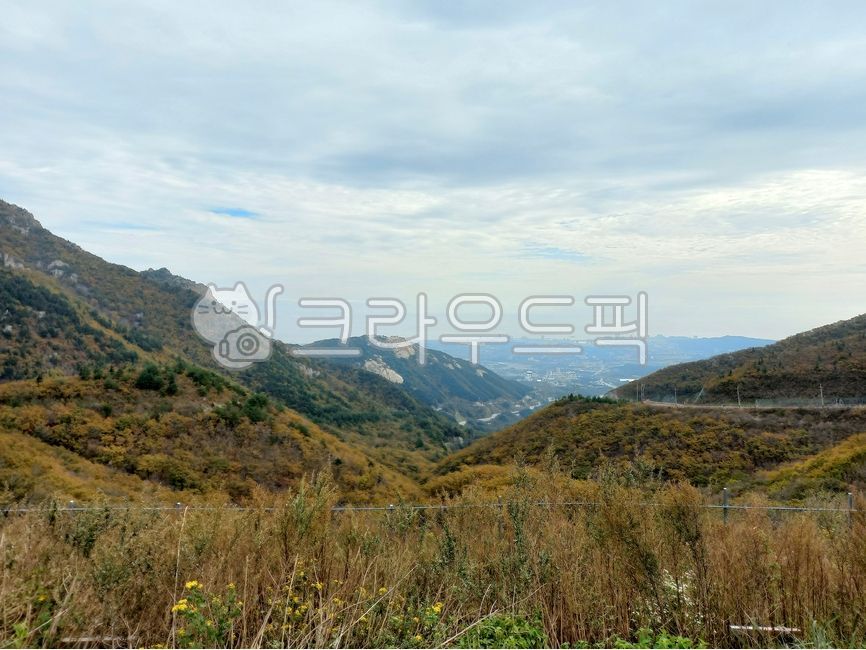 가을,가을이미지,강원도,한계령,산맥,풀숲,풍경,산골짜기,등산,경치,나무,가을풍경