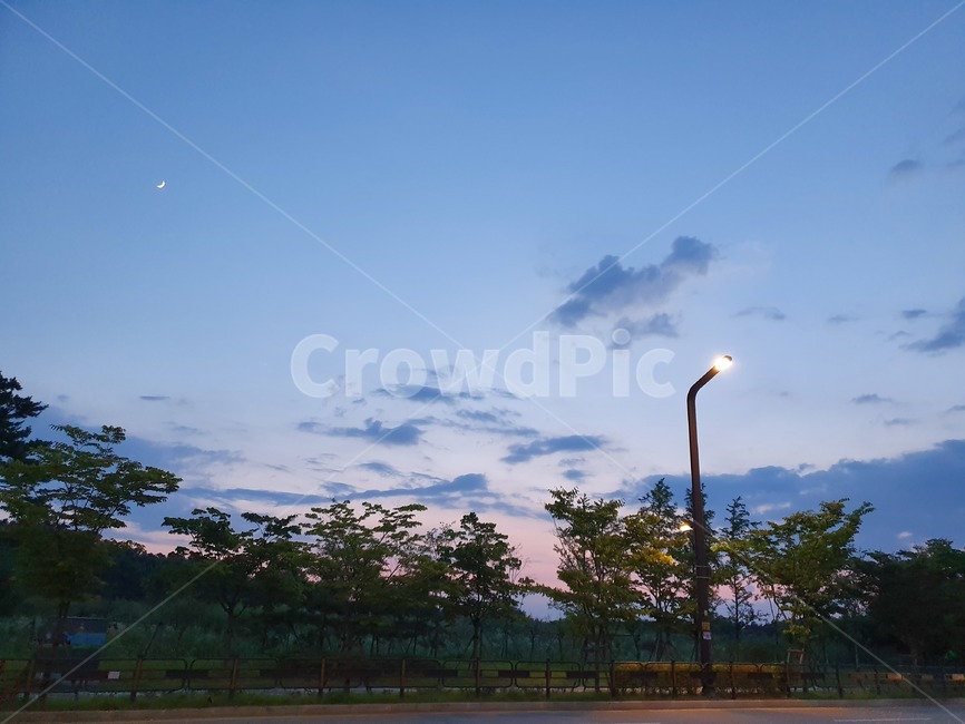 저녁하늘,나무,가로등,풍경,구름,자연,풍경,nature,landscape