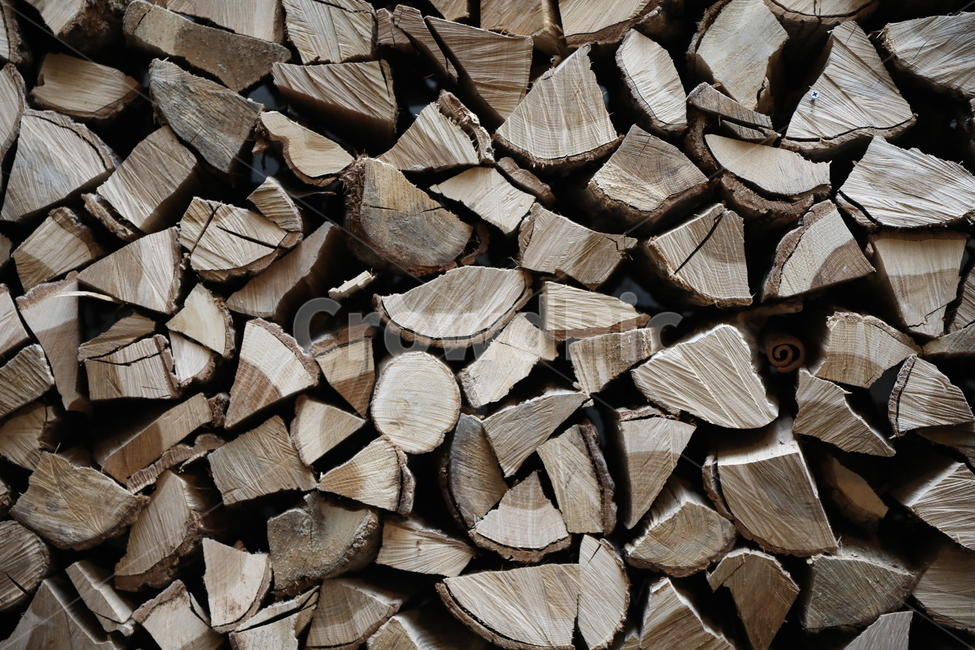 wood,나무,lumber,재목,장작,패턴,나무,trees,wood