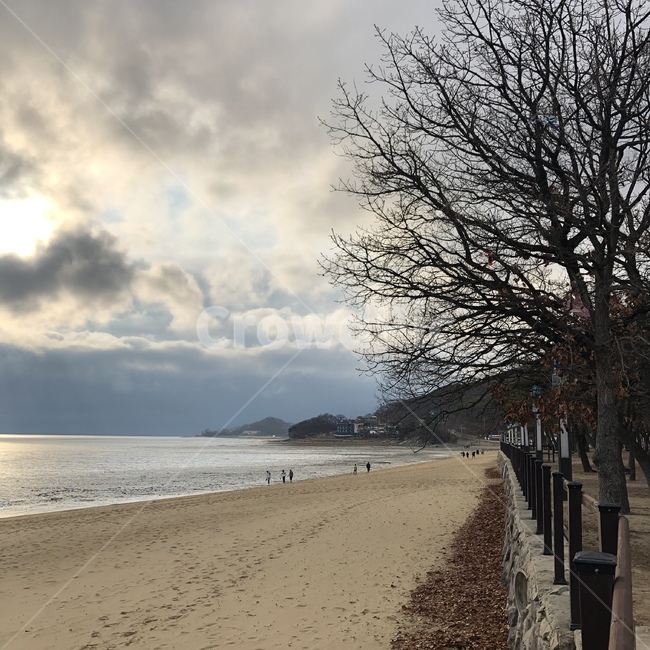 겨울,풍경,고독,바다,쓸쓸함,자연,풍경,nature,landscape,해변,바다,beach,sea