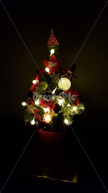 미니트리,크리스마스,트리,예쁜,겨울,메리크리스마스,성탄절,merry christmas
