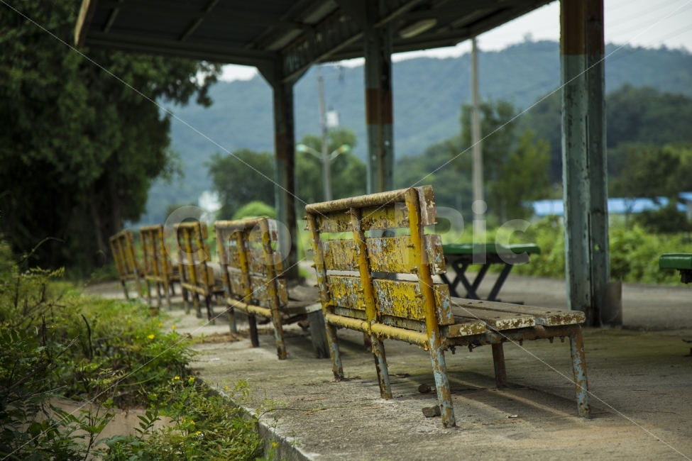 장흥역,페역,기차역,기다림,낡은것,교통,교통수단,traffic,transportation,bench,벤치,chair,의자,patio,안마당,porch,현관