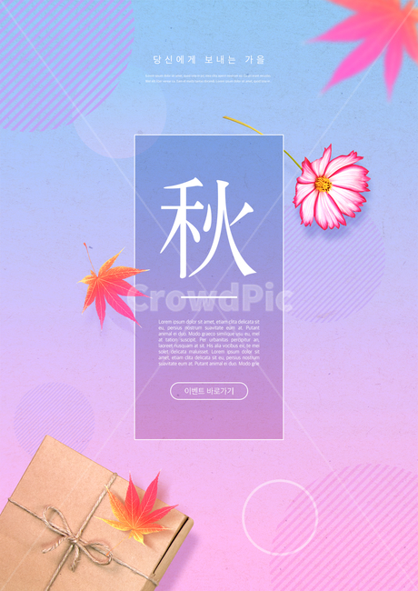 선물,선물상자,박스,단풍,단풍잎,코스모스,가을,시즌,이벤트,쇼핑,할인,세일,광고,포스터,편집,가을,계절,fall,autumn,season,그래픽,일러스트레이션,graphic,illustration,poster,advertisement,brochure,브로슈어,flyer,전단,paper,종이