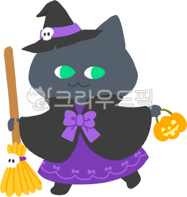 halloween costume,broomstick,cat witch,witch clothes,character,jackolantern,witch hat,Black cat,cat,cat character,Skull,halloween party,jack o lantern,Halloween