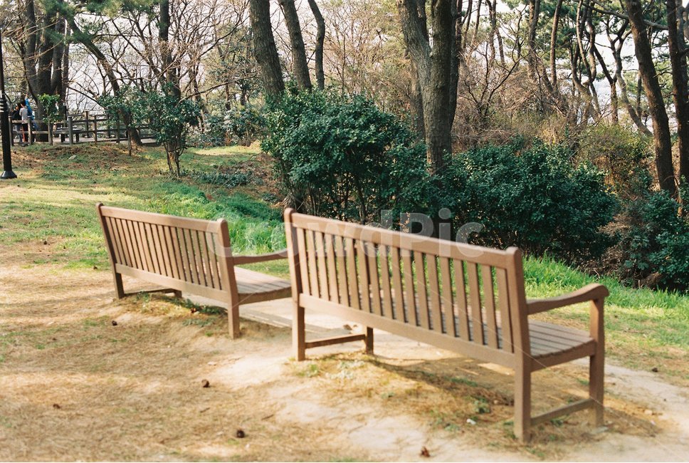 공원,밴치,산책,숲,오후,자연,풍경,nature,landscape,bench,벤치,park bench,공원 벤치