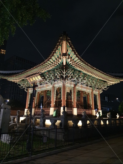 서울,종로,광화문,고궁,야경,국보,한국전통,한국풍경