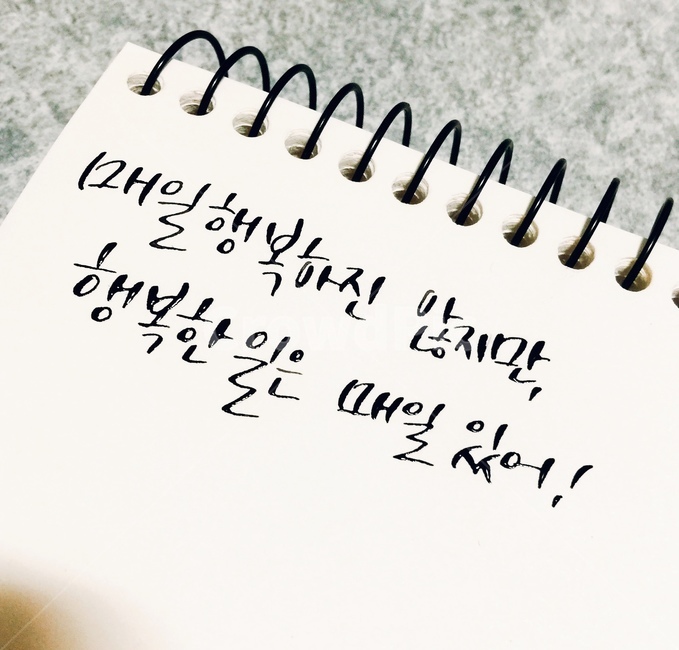 캘리그라피,손글씨,글씨,만년필글씨,애니메이션명언,켈리그라피,캘리,text
