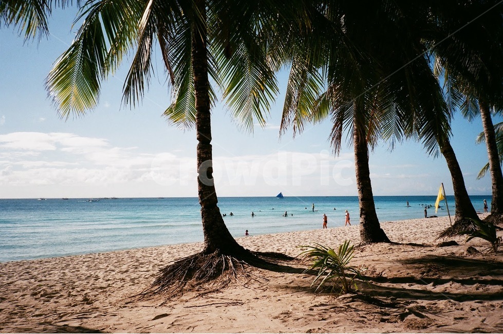 야자수,바닷가,보라카이,바다,모래사장,하늘,여름,열대,palmtree,boracay,philippines,ocean,beach,summer,tropical