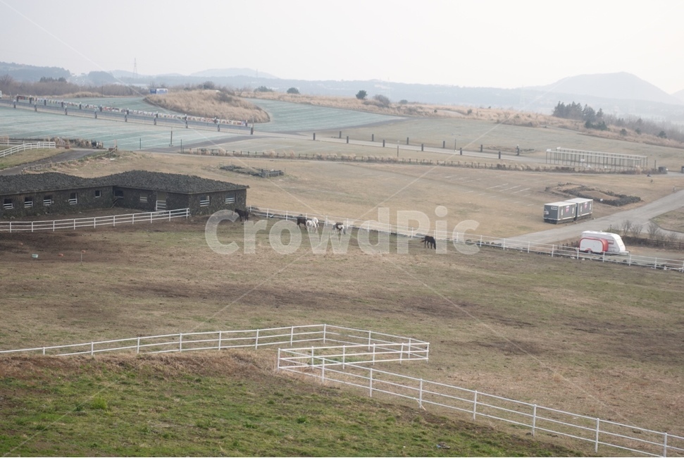 제주,자연,산,오름,하늘,풍경,산업,industry,industrial,목축업,목장,livestock farming,ranching,pasture