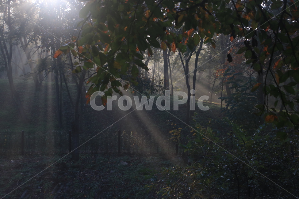 햇빛,플레어,sunlight,빛내림,light,날씨,nature,빛,weather,자연,자연,풍경,nature,landscape