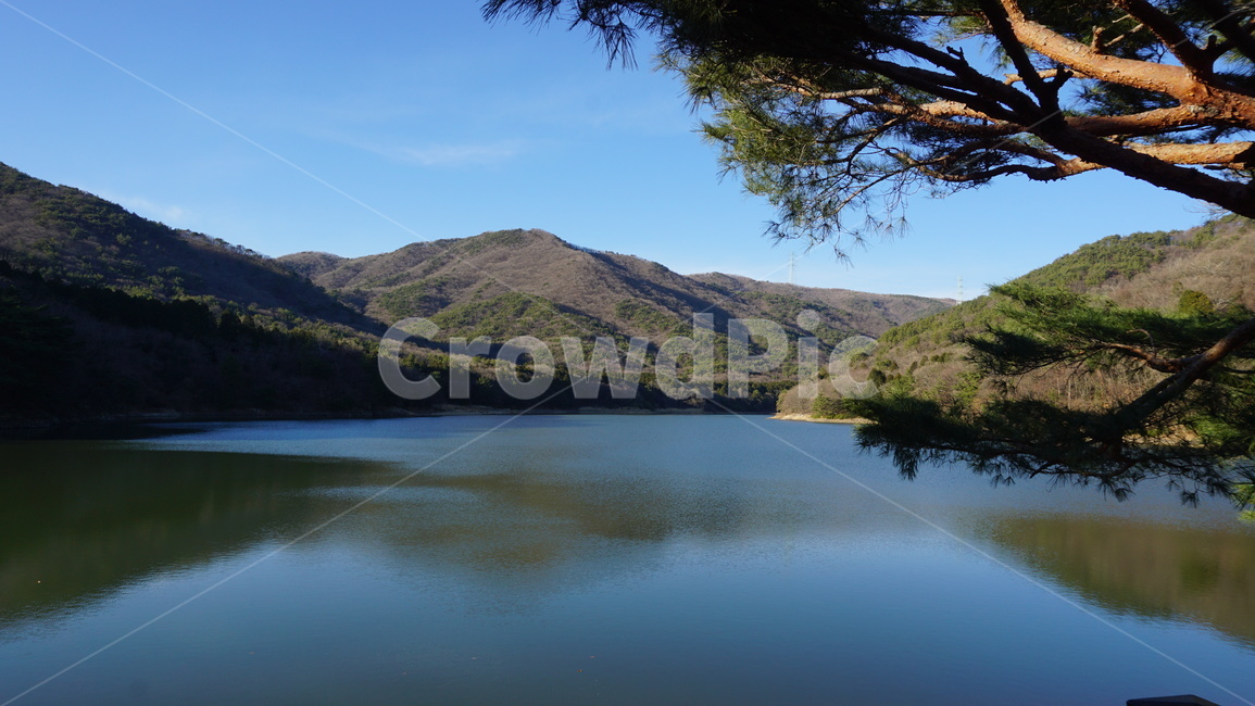 저수지,나무,숲,산,소나무,호수,하늘,자연,풍경,nature,landscape,water,물,outdoors,옥외