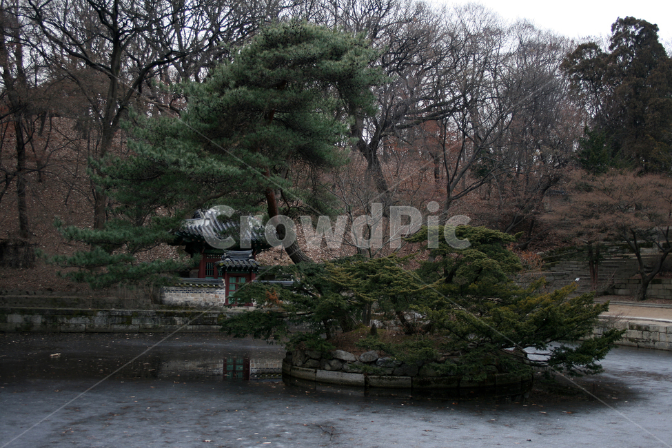 창덕궁,후원,부용지,세계문화유산,문화유산,한국,한국전통,한국문화,korean traditional,korean culture,랜드마크,landmark,tourist attraction,한국랜드마크,한국관광지,한국명소,korea landmark,korea tourist attraction