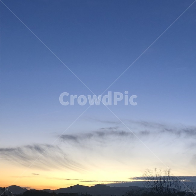 하늘,가을,구름,나무가지,감,나무,가을하늘,겨울하늘,풍경,sky,cloud,tree