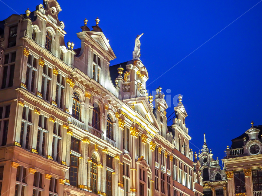브뤼셀,그랑플라스,grandplace,여행,야경,벨기에,야경,밤,풍경,nightscape,night,landscape,해외,외국,세계,foreign,oversea,world,건축물,건물외관,exterior,building,structure,architecture,construction,housing,주택,house,집,mansion,맨션,palace,궁전,건물