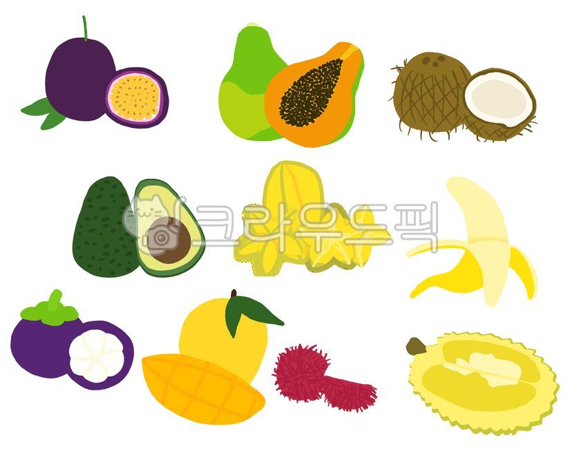 열대과일,열대과일일러스트,열대과일소스,열대과일디자인,열대과일리소스,패션후르츠,파파야,코코넛,망고,아보카도,스타후르츠,바나나,망고스틴,두리안,열대과일모음