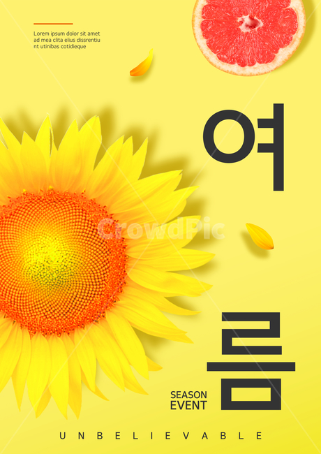 과일,자몽,꽃,해바라기,꽃잎쇼핑,이벤트,팝업,여름,표지,전단지,브로슈어,카달로그,여름,계절,summer,season,꽃,flower,축제,행사,festival,carnival,event,쇼핑,shopping,그래픽,일러스트레이션,graphic,illustration,plant,식물
