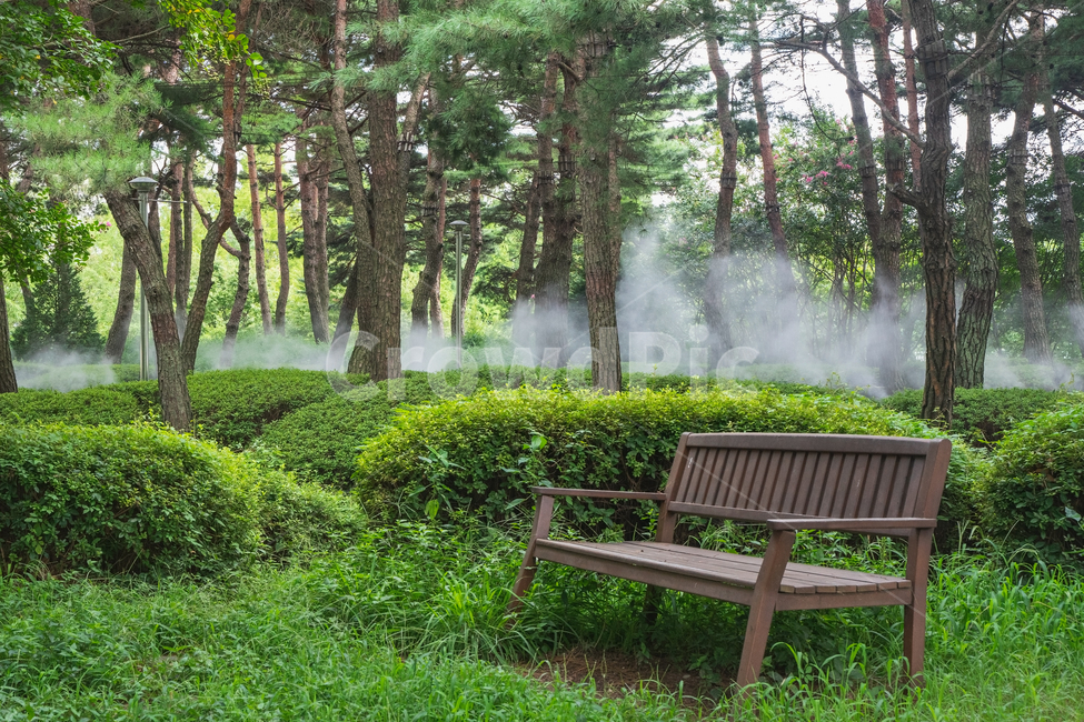 벤치,공원,휴식,숲,나무,휴식,힐링,rest,relaxation,healing