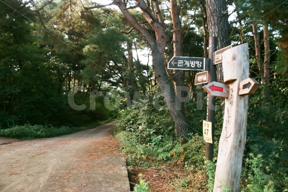 지리산둘레길,둘레길,이정표,등산로,지리산둘레길3코스,자연,풍경,nature,landscape,한국자연풍경,한국자연경관,korea nature landscape