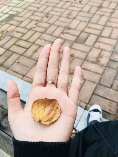 손,반지,낙엽,산책,가을,fall,가을,계절,fall,autumn,season,사람,인물,인간,human,person,신체일부,몸,body