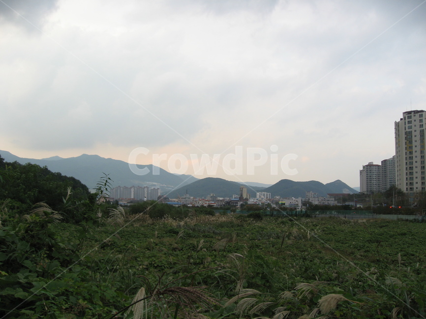 anture,자연,outdoors,옥외,들판,아파트,산,흐림