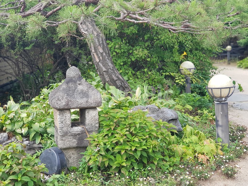 녹색,전통적인,한국적,등불,소나무,가로등,green,plant,traditional,korean,light