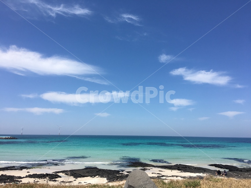 제주도,바다,여름,바닷가,투명한바다,여유로움,피서,하늘,맑음,풍경,유화,자연,풍경,nature,landscape,한국자연풍경,한국자연경관,korea nature landscape,해변,바다,beach,sea,제주도,jeju,jeju island,wood,나무,outdoors,옥외,water,물,ocean,대양