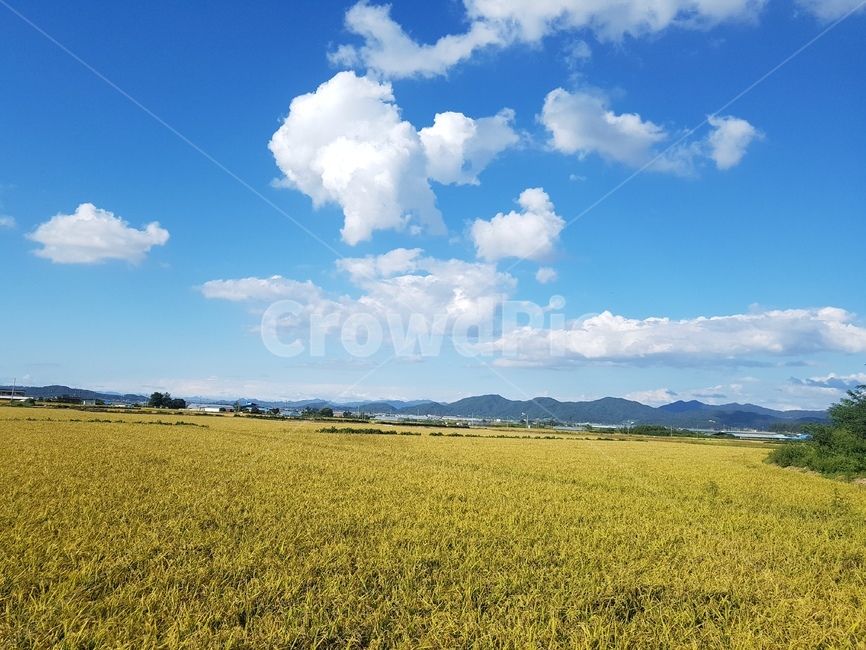 철원,동송,철원평야,가을하늘,힐링