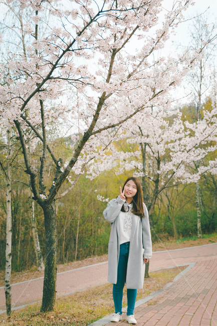 여자,벚꽃,봄,flower,cheeryblossom,blossom,portrait,봄,계절,spring,season,사람,인물,인간,human,person,여성,여자,woman,female,lady,coat,코트,plant,식물